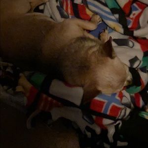 Meet your Posher, Michael